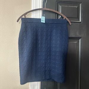 Ann Taylor Factory NWT Elegant Blue Skirt